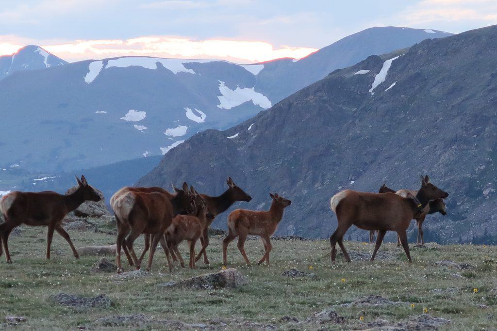 Rocky Mountain National Park
