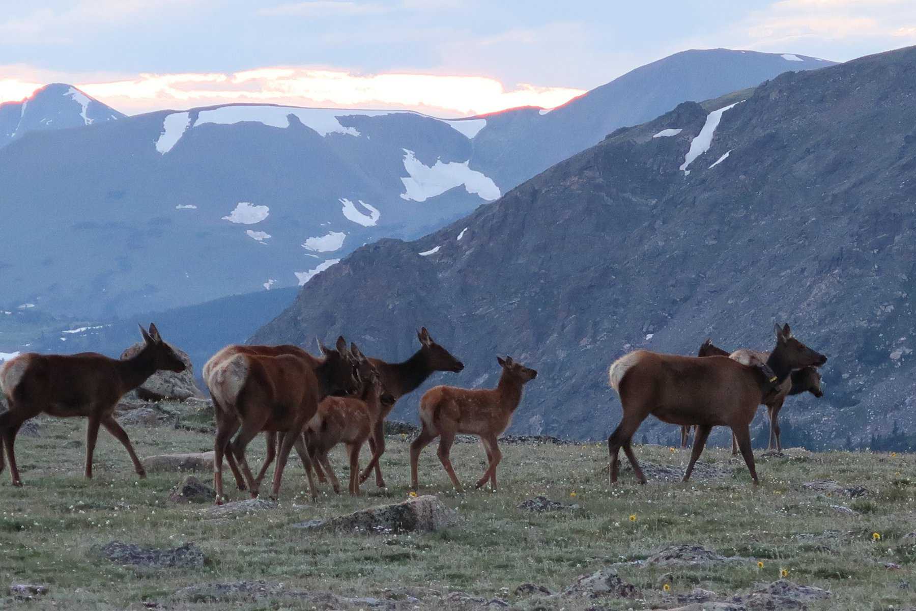 Discover 7 top national parks in the United States and what makes them family-friendly!