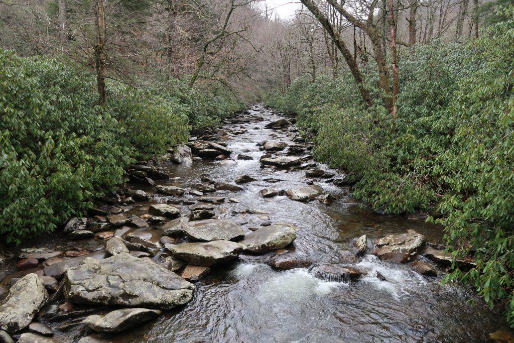 popularity of Great Smoky Mountains