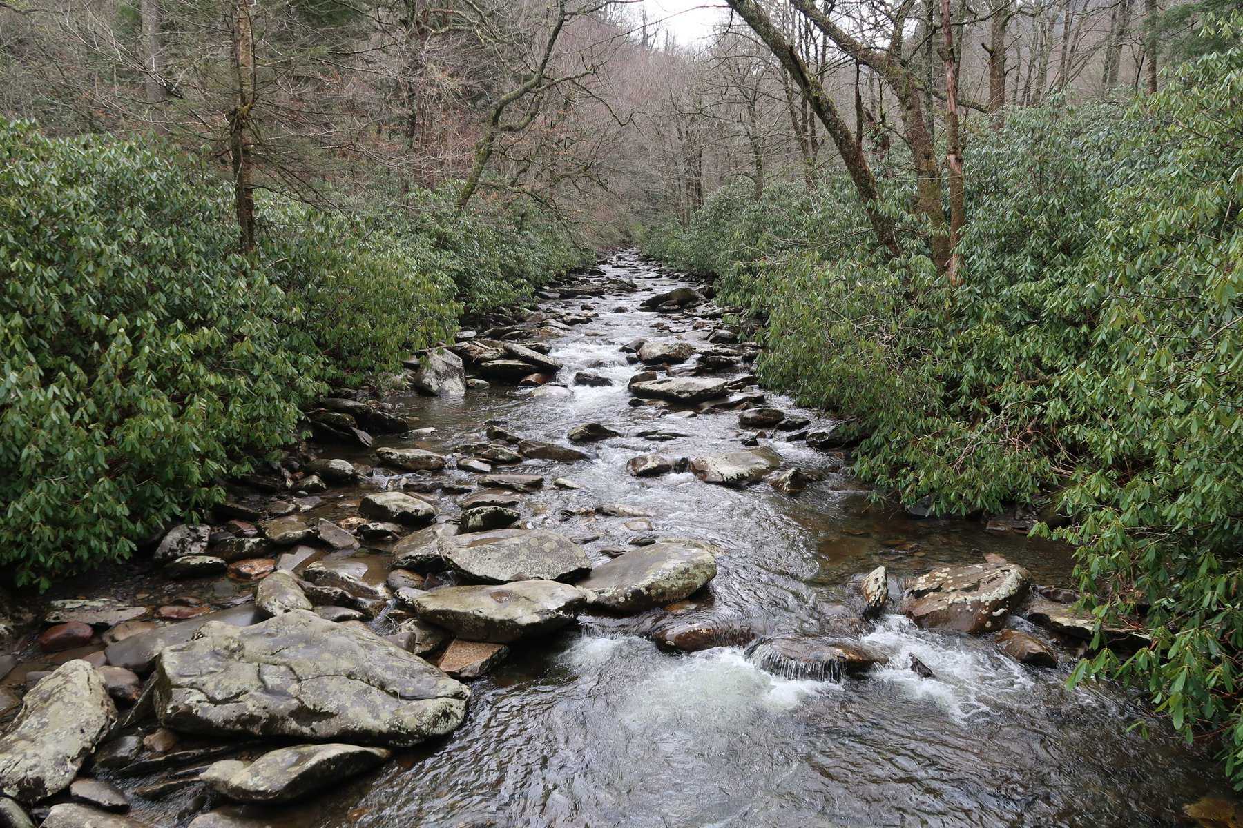 Why is Great Smoky Mountains National Park so popular?