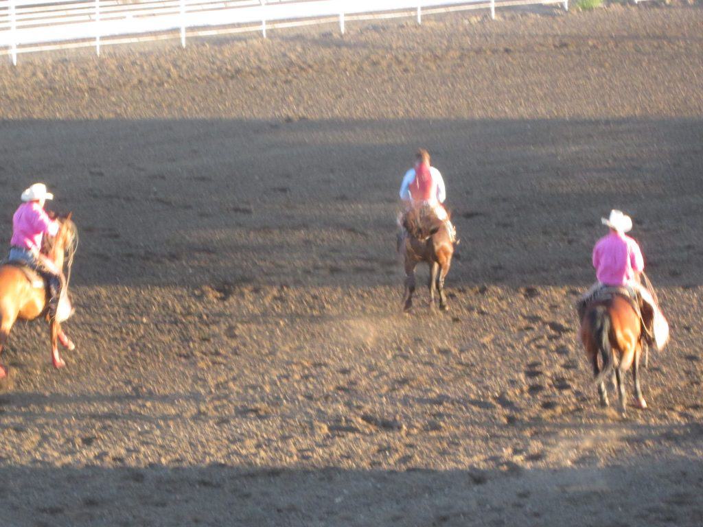 Cody Rodeo