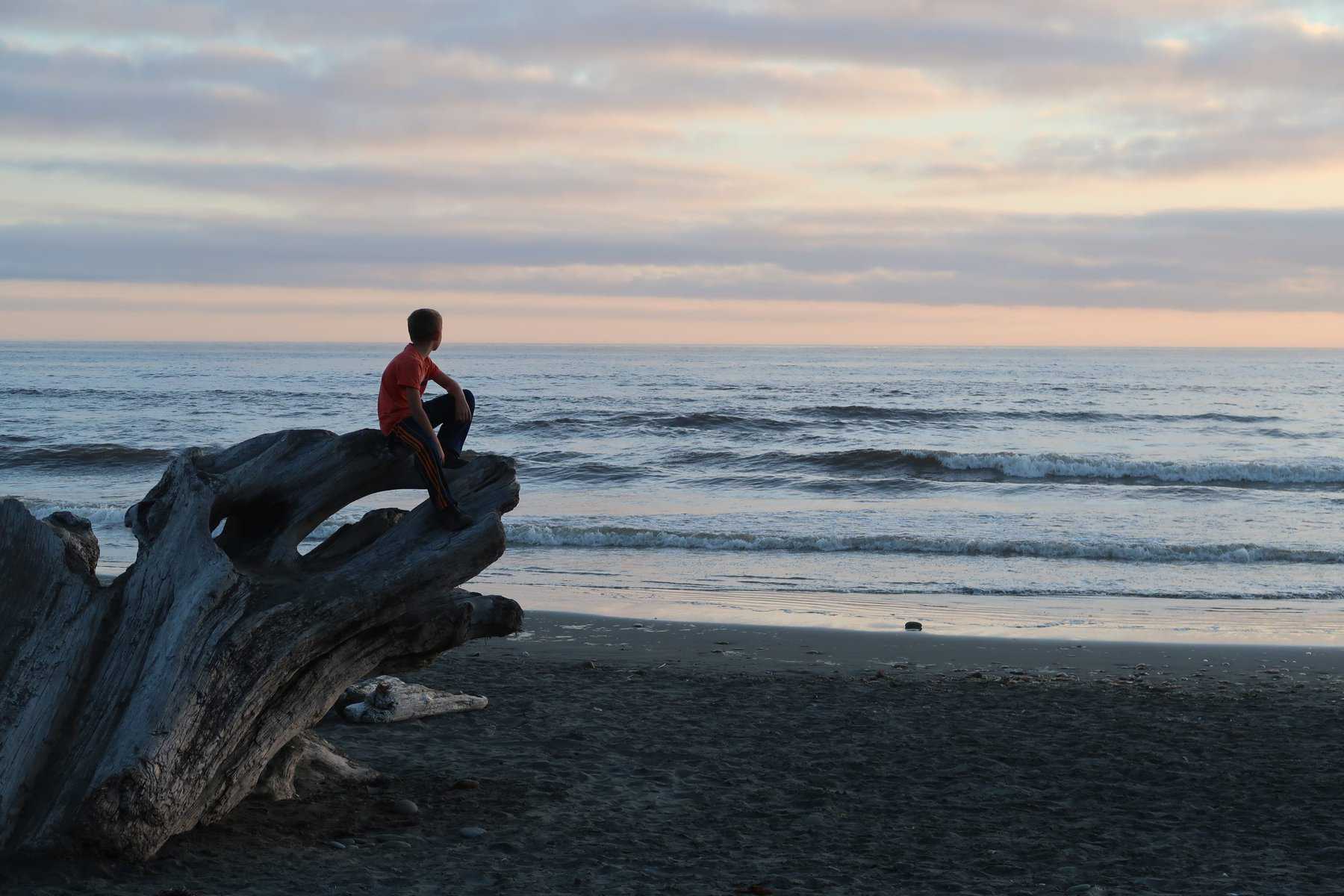 Visiting Olympic National Park with Kids