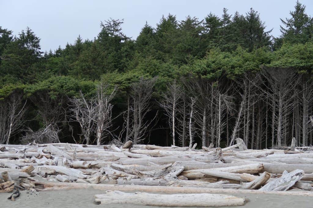 Olympic National Park