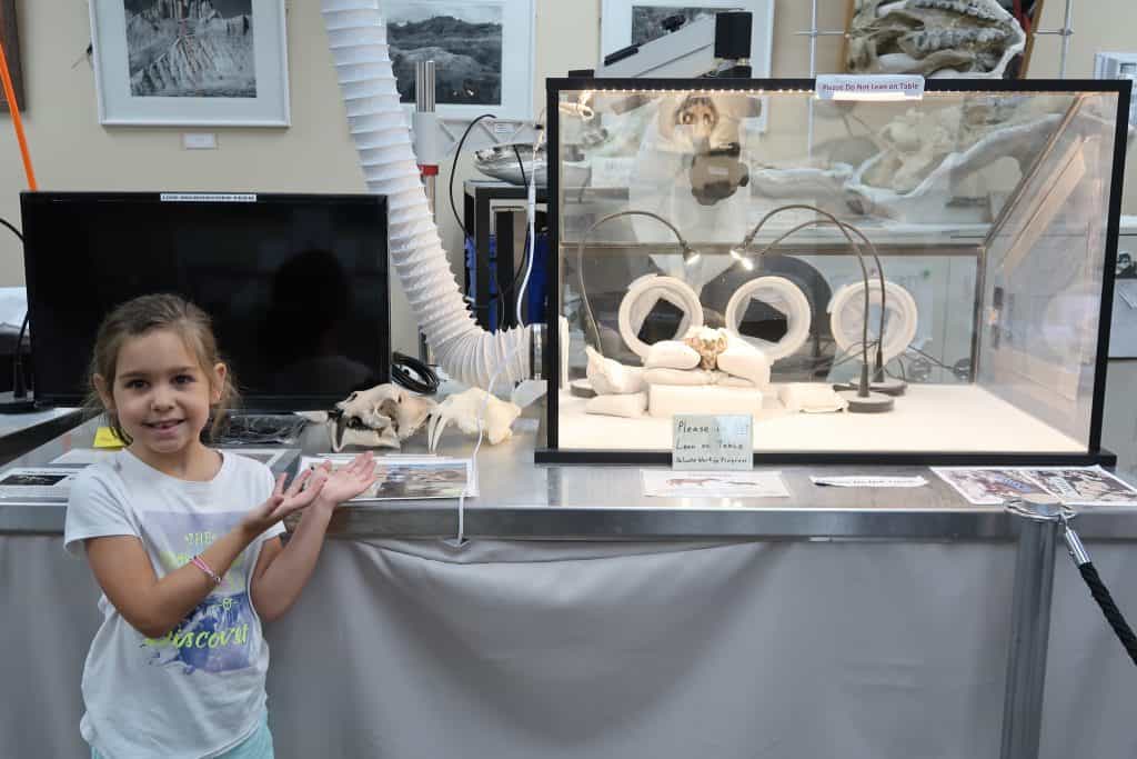 Fossil Preparation Lab at Badlands National Park