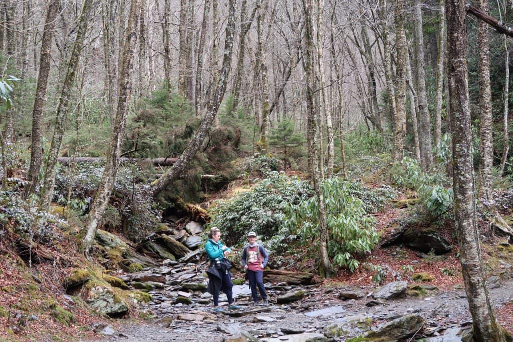 hikes in Great Smoky Mountains