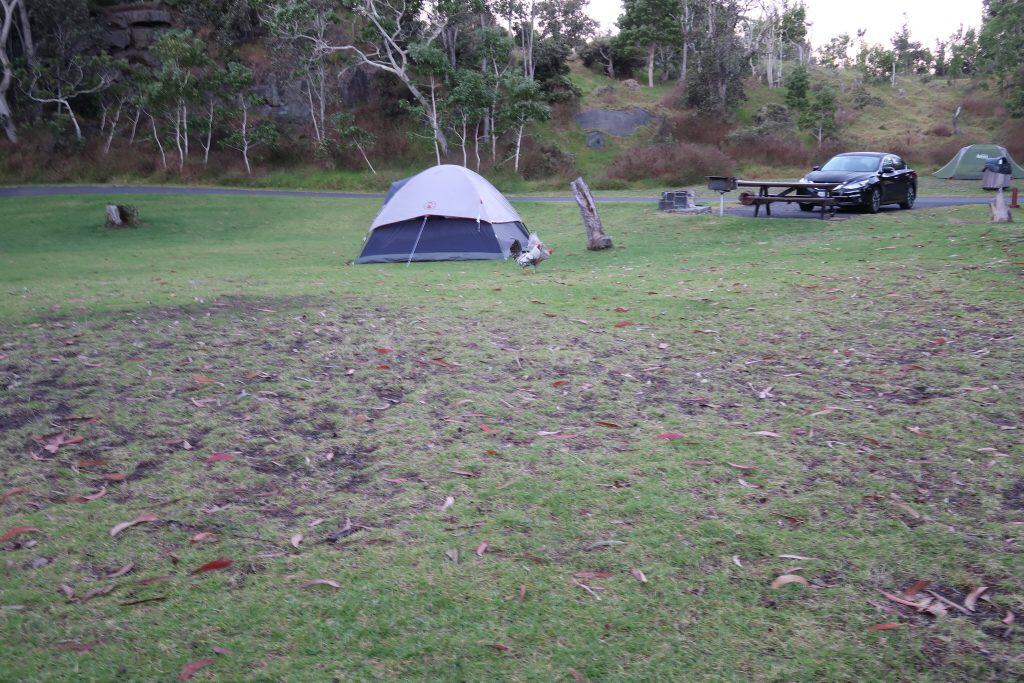 Campground Hawaii Volcanoes National Park