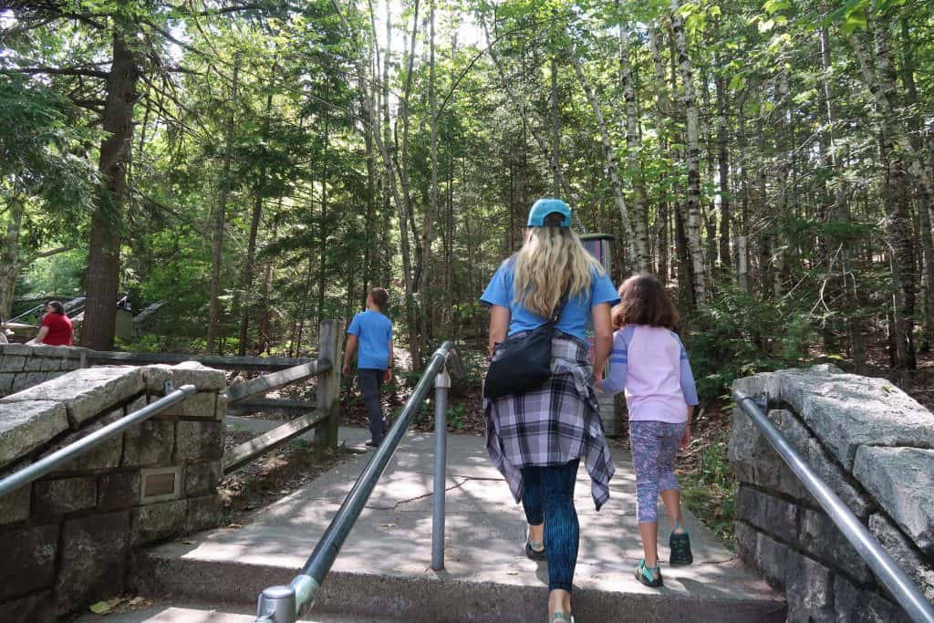 kids at Acadia National Park