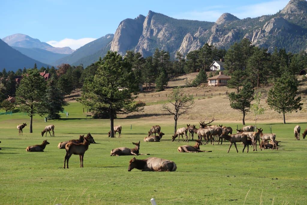 sites and tours at Rocky Mountain National Park