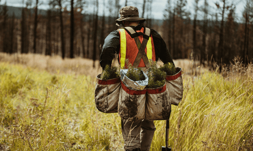 national parks conservation foundations