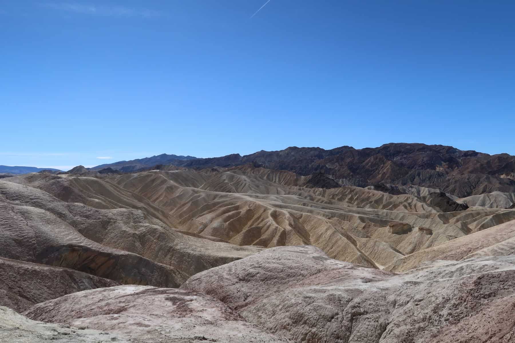 The Efforts to Manage Invasive Species in Death Valley National Park