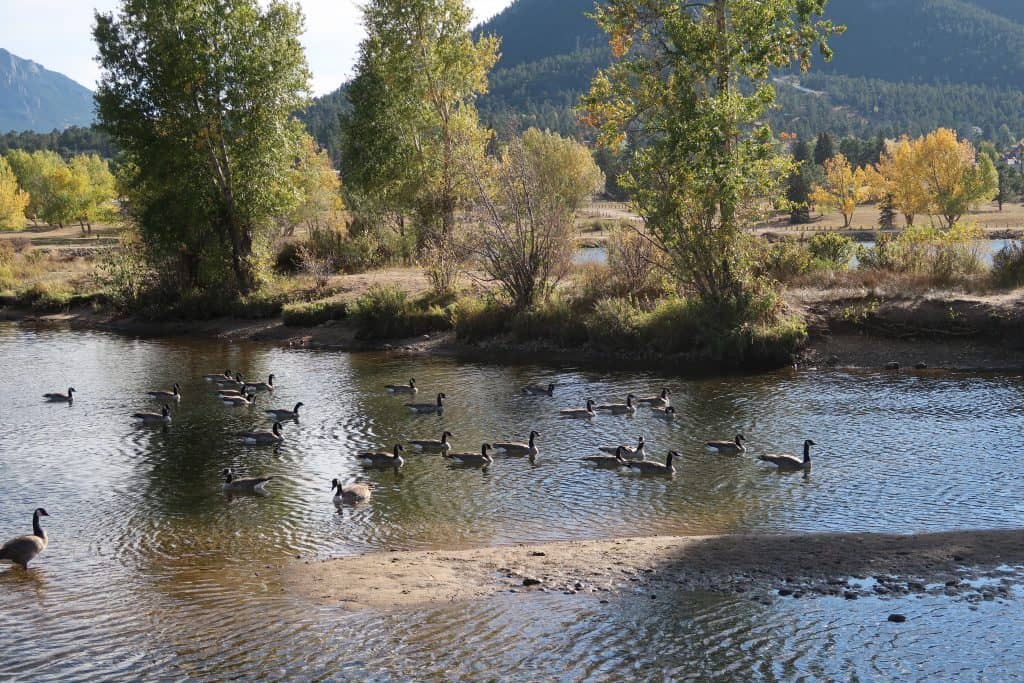 fall in Rocky Mountain National Park