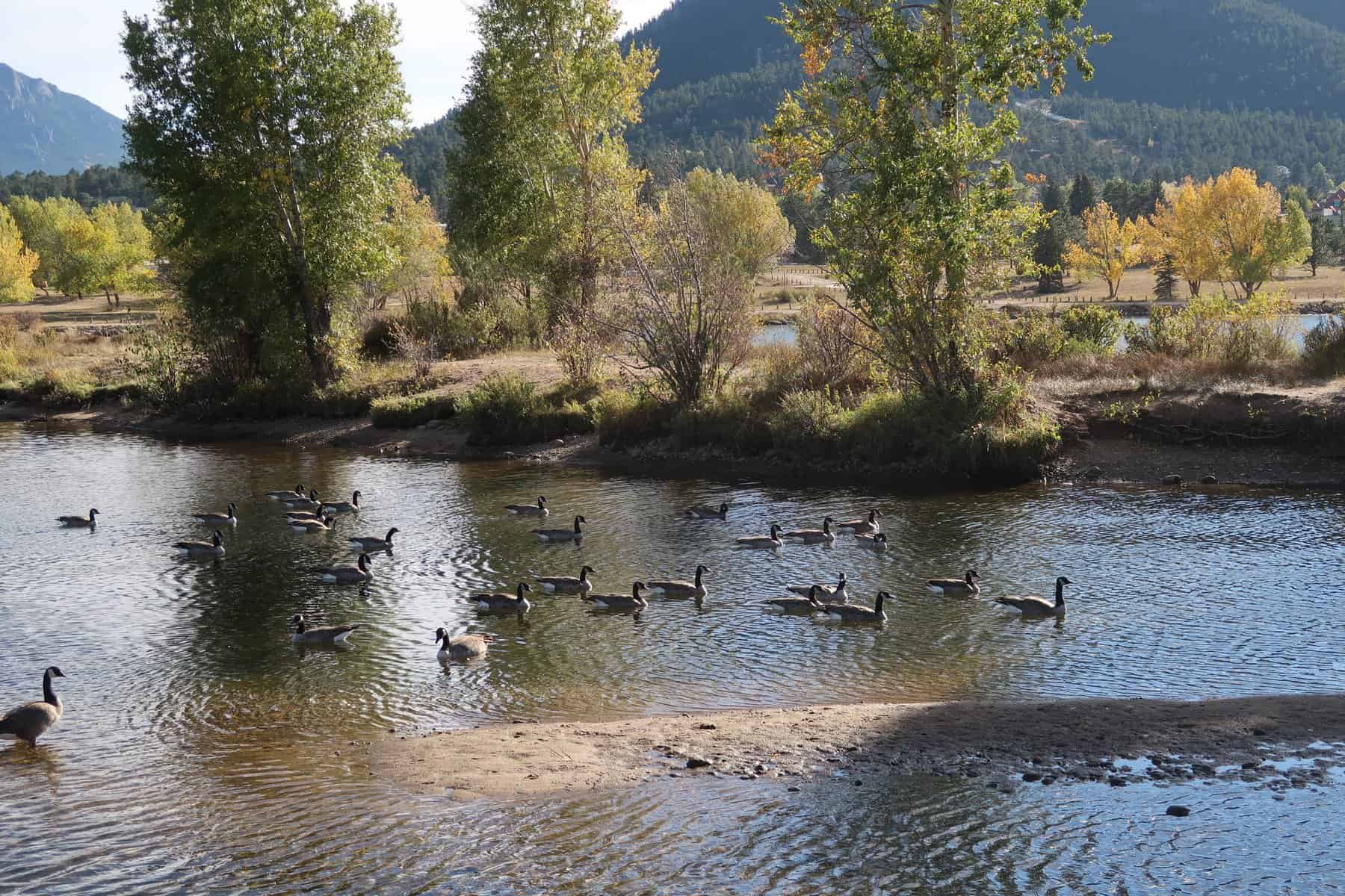 Experience the Stunning Beauty of Fall in Rocky Mountain National Park