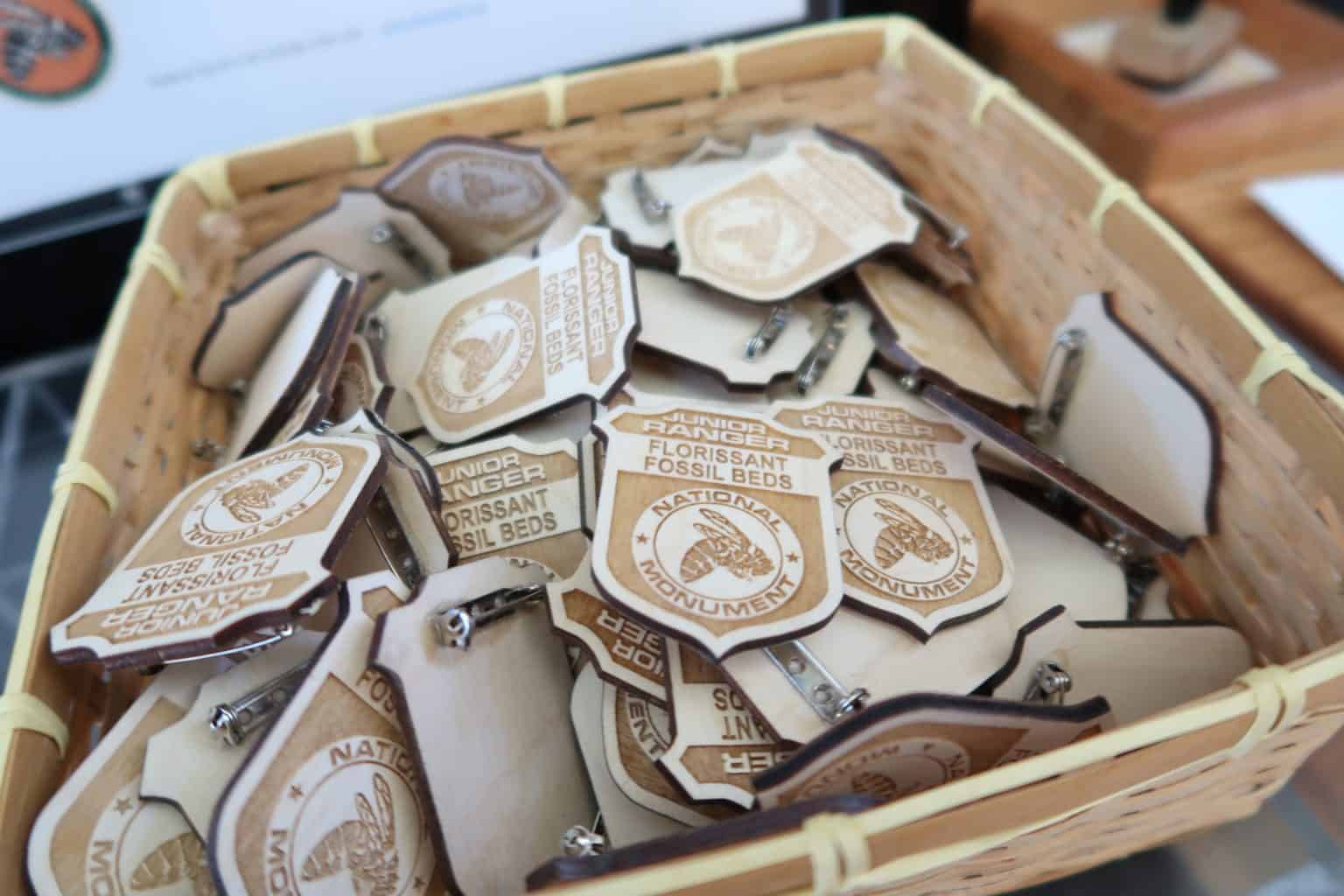 Discover the Best Junior Ranger Programs in the United States National ...