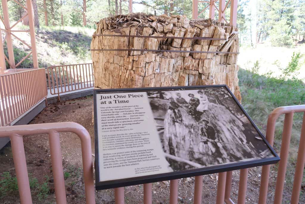 FLorissant Fossil Beds