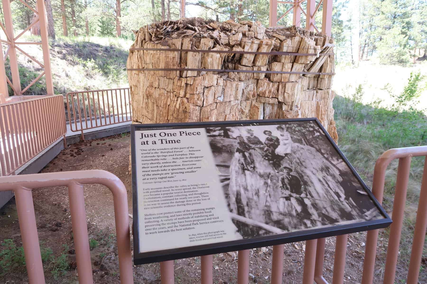 Avoid the Crowds: Visit Florissant Fossil Beds National Monument in Colorado!