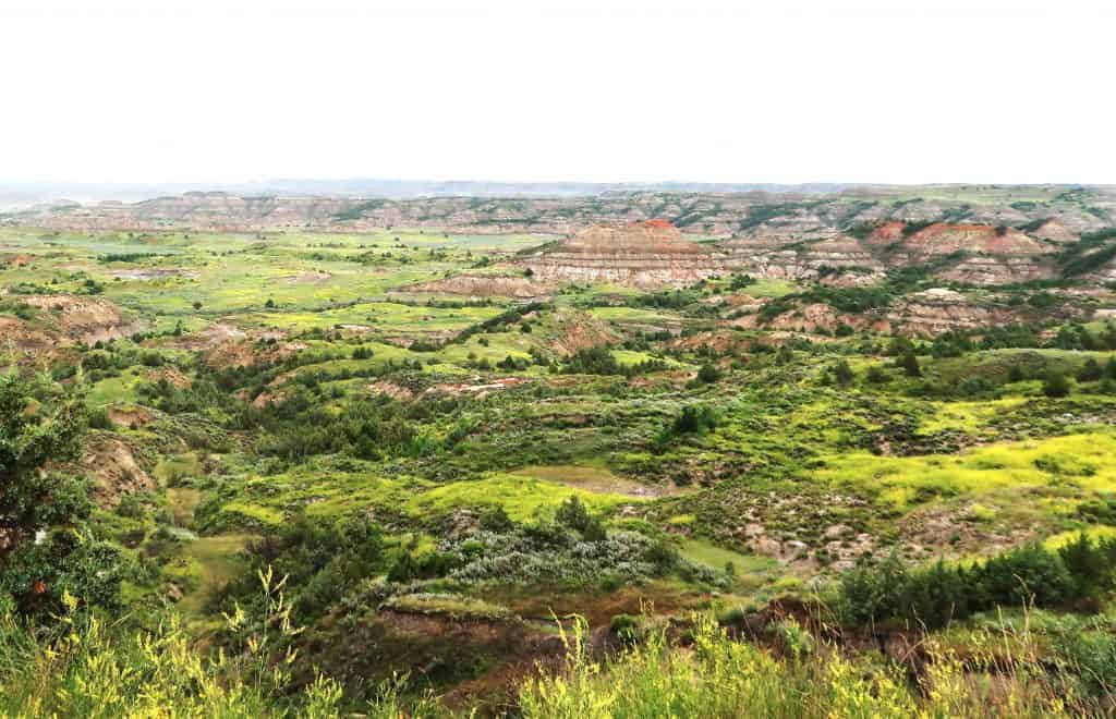 National Parks of the United States - Theodore Roosevelt National Park