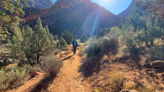 Zion National Park with Kids - Watchman Trail